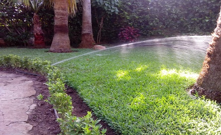 ARROSAGE COMMISSAIRE 1